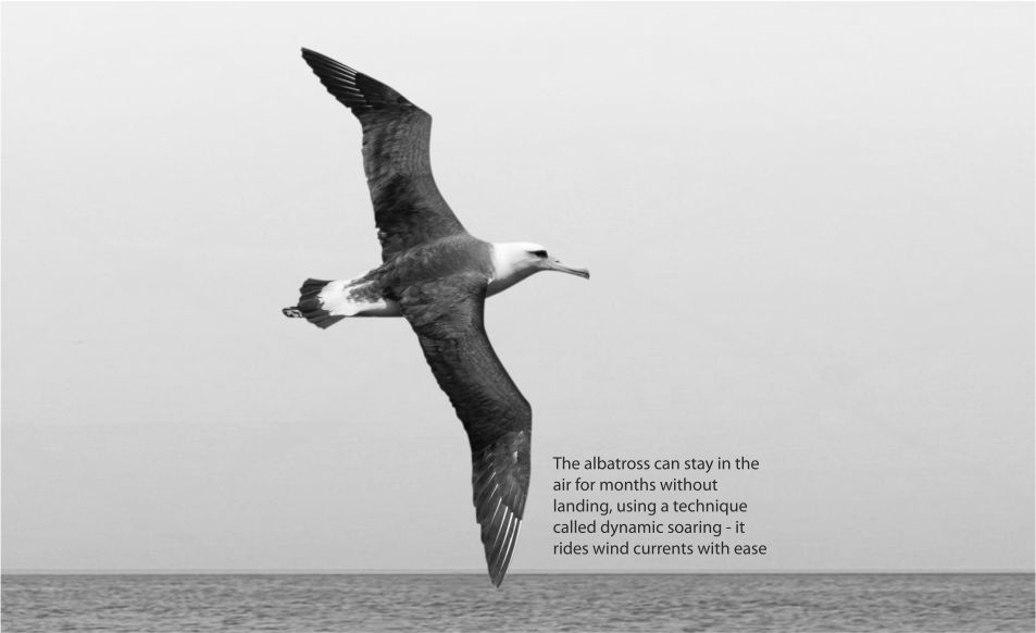 Unifi Dynamic Asset Allocation Fund