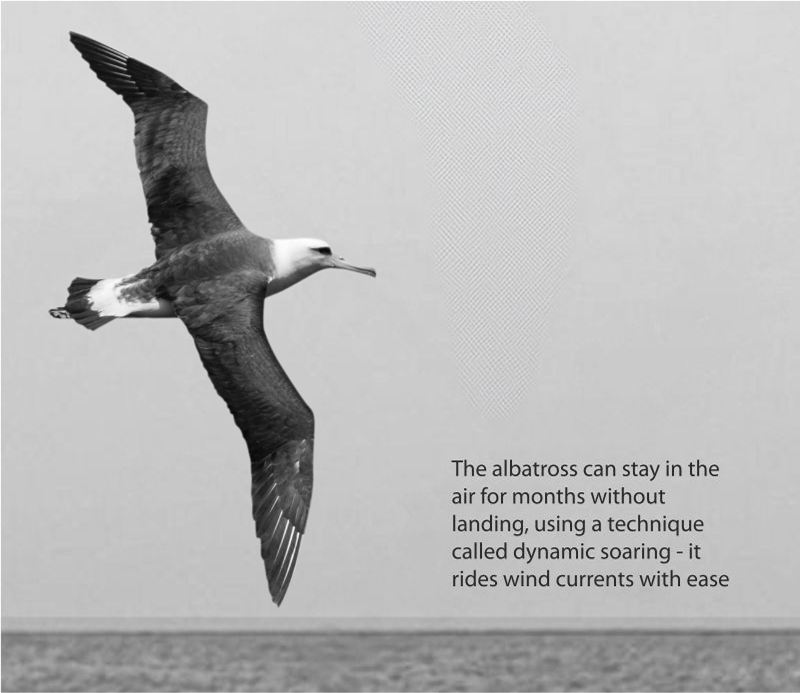 Unifi Dynamic Asset Allocation Fund